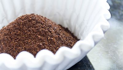 Experts Share Whether Coffee Grounds Actually Repel Ants