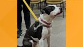 Erie County Sheriff's Office shares their cute graduate