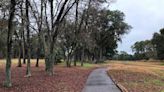Hilton Head approves plans for the Mid-Island Tract park project. Here’s what happens next