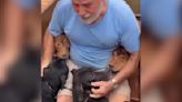 Flood Victim Breaks Down Reuniting With His 4 Dogs In Brazil