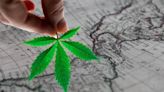 These 9 Cannabis Companies Are Leading The Way In Latin America: What Are They Up To And Why Should You Pay Attention...