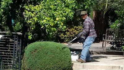Thieves steal Hayward gardener's tools - and his means to earn a living