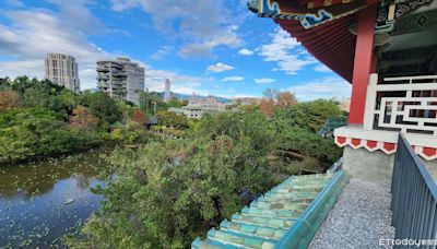 館長8年換6位！ 藍智庫轟「名存實亡」：想把史博館搞廢？