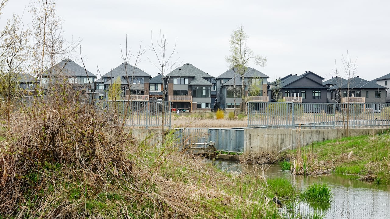 Protections slated for Bank Street widening decades too late, says naturalist