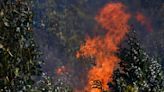 Comandante de Bomberos de Quilpué critica a Conaf por falta de comunicación y ausencia de brigadistas durante megaincendio - La Tercera