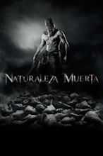 Naturaleza muerta