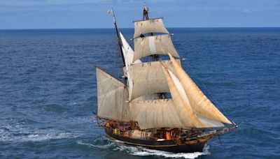 These old-school sailing ships transport cargo across the sea—and you’re invited