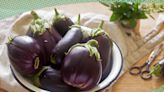 The 4 Reasons Your Eggplant Is Bitter and How To Avoid It