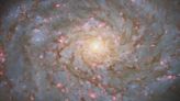 Hubble captura la galaxia espiral NGC 4689, brillante como una joya