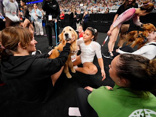 A golden retriever provided comfort and calm to gymnasts at the Olympic trials. How pet therapy works.