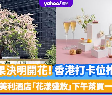 香港賞花｜節果決明開花！打卡位推介 大角咀櫻桃街/中環美利酒店「花漾盛放」下午茶買一送一優惠