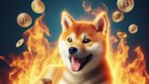 Shiba Inu Community and Binance Stir Crypto World: Token Burns Fuel Market Surge - EconoTimes