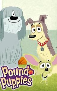 Pound Puppies