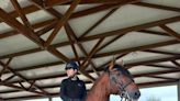 Cavaleiro olímpico foi criado em haras de cavalos lusitanos