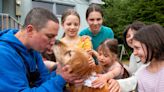 Missing Blind Golden Retriever Returns Home After Three Weeks in the Alaskan Wilderness