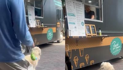 Video Of Dog's Happy Walk To Ice Cream Van Is The Cutest Thing On The Internet Today - News18