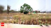 Green Push Wilts, Leisure Valley Now A Scrub Desert | - Times of India