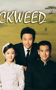 Duckweed (film)