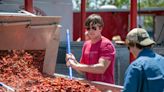 Things to do in Pensacola: Crawfish Fest; Interstate Mullet Toss; Gulf Coast Whale Fest