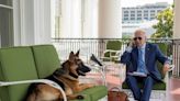 A White House photo shows Biden's dog Commander keeping the president company as he recovers from COVID-19
