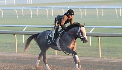 Lukas Now Favors Jim Dandy, Travers for Seize the Grey