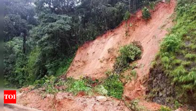 Landslide disrupts traffic on Goa-Karnataka route; IMD issues 'orange' alert | India News - Times of India