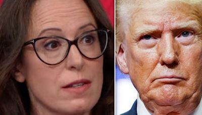 Maggie Haberman Hits Donald Trump With The Triggering Truth About His New Spin