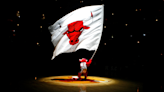 Bulls aim for fan engagement, fun at inaugural ‘Bulls Fest’