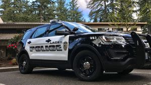 21-year-old arrested in Lacey double murder after police chase