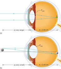 Physics of the Eye | Physics II