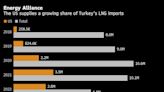 Erdogan Says Turkey Wants to Expand US Gas Ties, Supply Europe