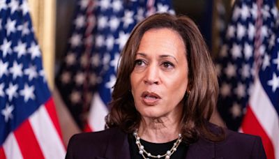 Kamala Harris running mate update as contenders audition for role