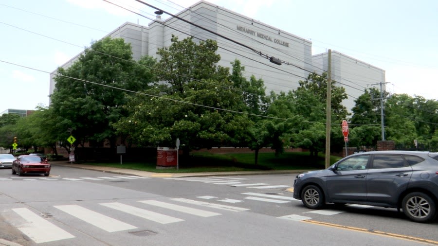 Report shows inhumane treatment of lab animals at Meharry Medical College