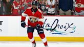 NHL Injury update: Duclair suffers Achilles injury; Ryan Ellis still has long road