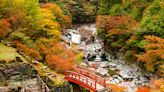 日本高知縣 必賞的9大楓景