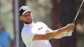 Stephen Curry hits hole-in-one at celebrity tournament, celebrates appropriately