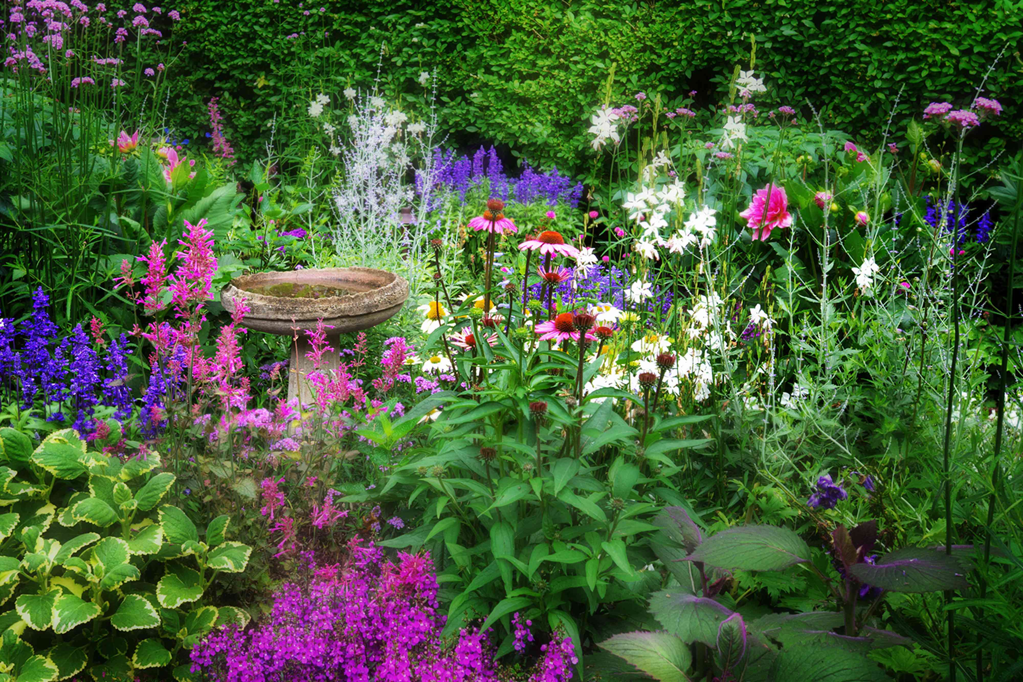 15 Flowers That Will Help You Achieve the Cottage Garden of Your Dreams