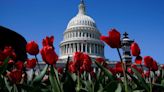 House passes $1.2T bill to avoid shutdown, sends to Senate