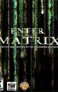 Enter the Matrix