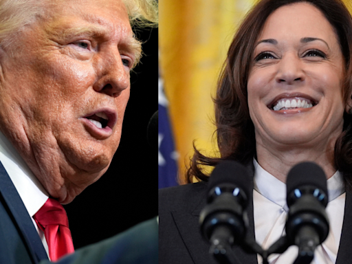 'Radical left lunatic ...': Donald Trump targets Kamala Harris at first rally since Biden's exit from 2024 race - Times of India