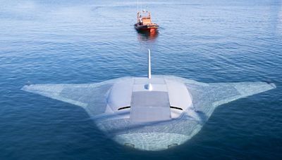 Manta Ray submarine drone seemingly spotted on Google Maps at California naval base