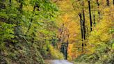 Residents in This Vermont Town Want to Ban Some Leaf-peeping Tourists