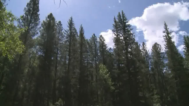 Santa Fe National Forest issues partial camping closure order to ‘prevent further resource damage’