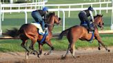 Kentucky Derby Update: Stronghold, Track Phantom Among Five To Post Final Works Sunday