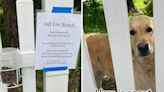 Owners leave sign for people to give dog treats—but he must follow 1 rule