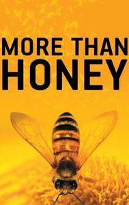 More Than Honey