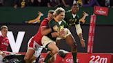 South Africa v Wales LIVE rugby: Result and reaction as Damian Willemse kicks Springboks to last-gasp win