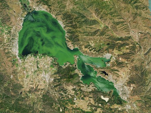 Troubled California lake turns so green it's visible from space