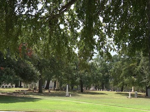 Dallas City Council approves contract to count city's trees, despite concerns over $6M price tag