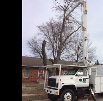 Jeff Berkler Tree Service Springfield Yahoo Local Search Results